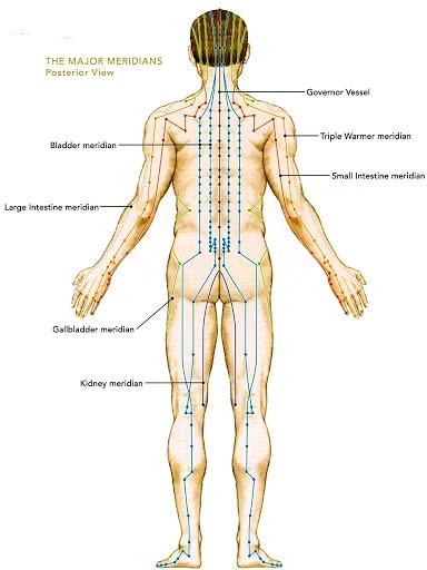 Sen line diagram
