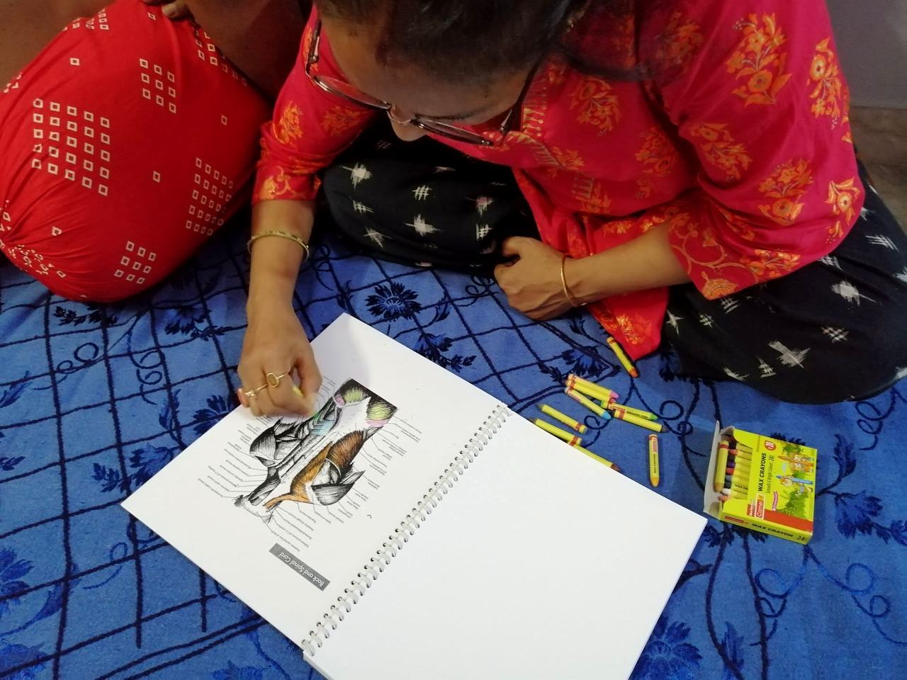 Student learning anatomy